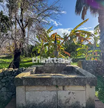 Foto annuncio 67