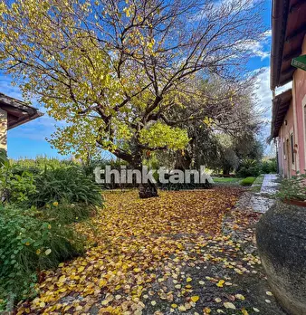 Foto annuncio 61