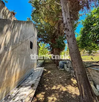 Foto annuncio 40