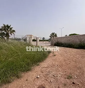Foto annuncio 6