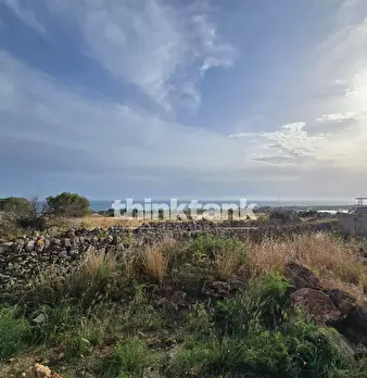 Foto annuncio 14
