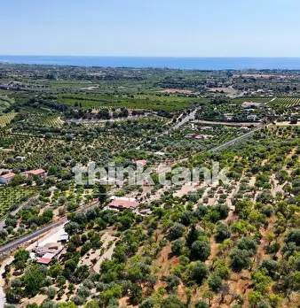 Foto annuncio 9