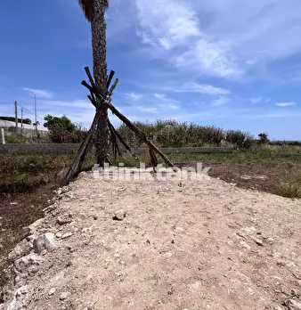 Foto annuncio 25