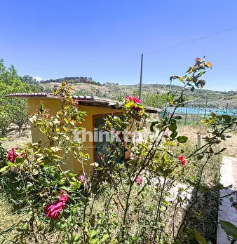 Foto annuncio 28