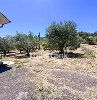 Foto annuncio 29