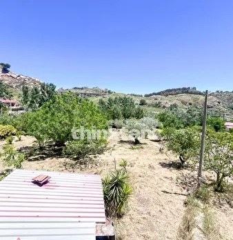 Foto annuncio 31