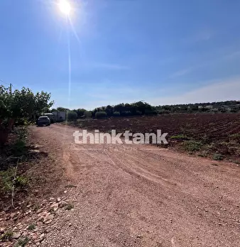 Foto annuncio 13