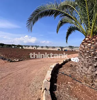 Foto annuncio 12