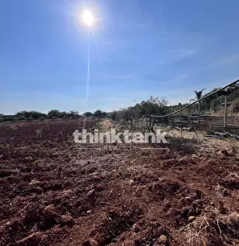 Foto annuncio 20
