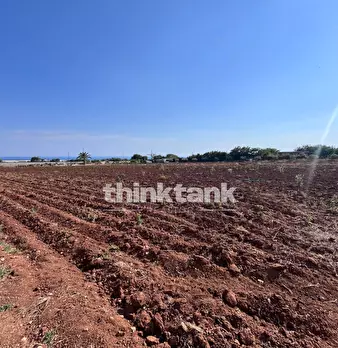 Foto annuncio 21