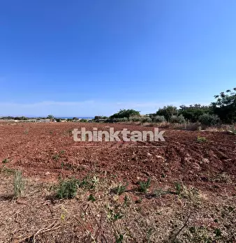 Foto annuncio 22