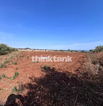 Foto annuncio 23