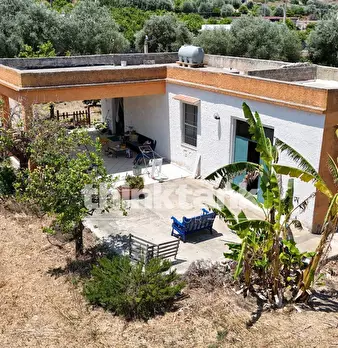 Foto annuncio 2