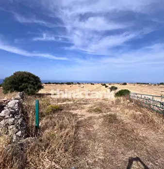 Foto annuncio 10