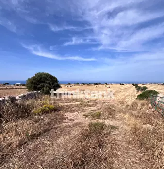 Foto annuncio 11