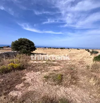 Foto annuncio 12
