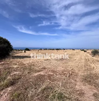 Foto annuncio 13