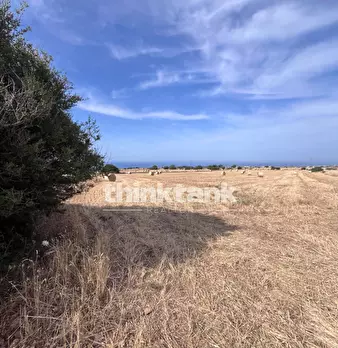 Foto annuncio 14
