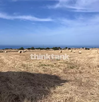 Foto annuncio 15