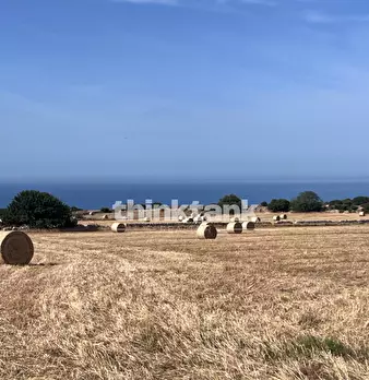 Foto annuncio 17