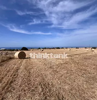 Foto annuncio 18