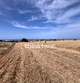 Foto annuncio 20