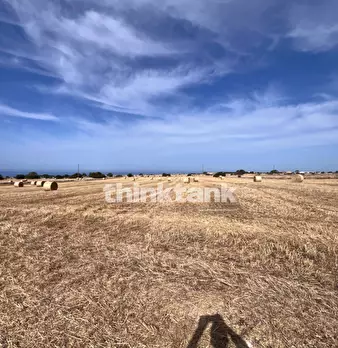 Foto annuncio 21