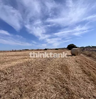 Foto annuncio 22