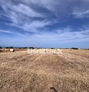 Foto annuncio 24