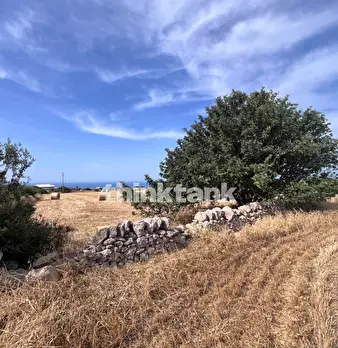 Foto annuncio 25
