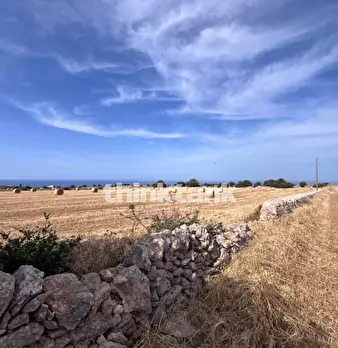 Foto annuncio 27