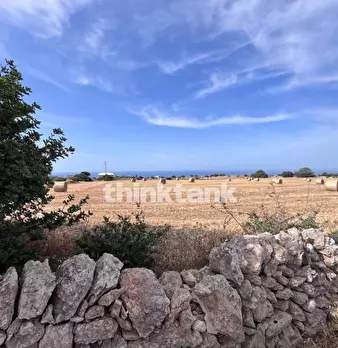 Foto annuncio 28