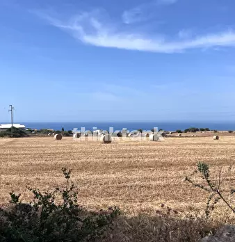 Foto annuncio 29