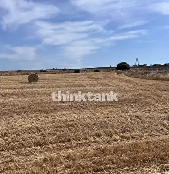 Foto annuncio 30