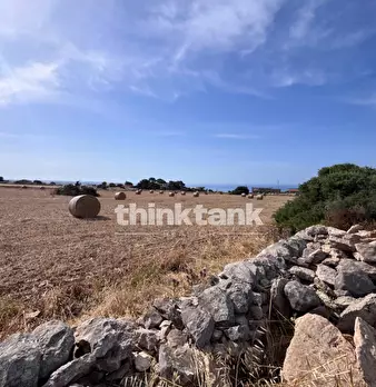 Foto annuncio 31