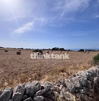 Foto annuncio 32