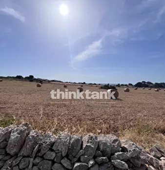 Foto annuncio 33