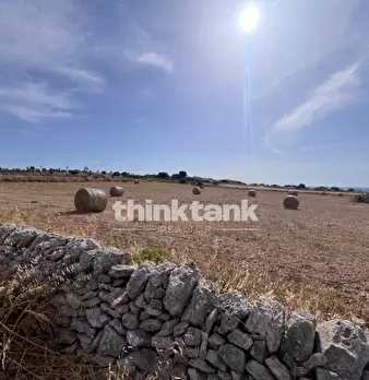 Foto annuncio 34
