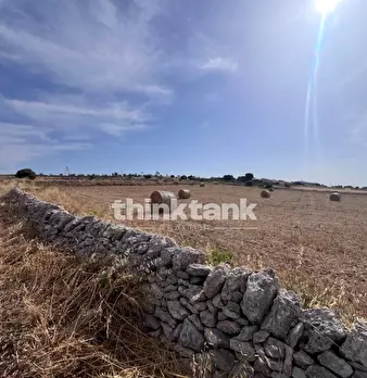 Foto annuncio 35