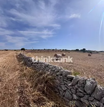 Foto annuncio 36