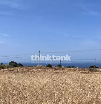Foto annuncio 12