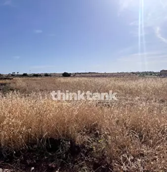 Foto annuncio 13