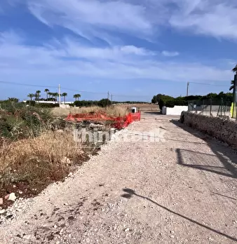Foto annuncio 20