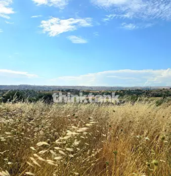 Foto annuncio 24