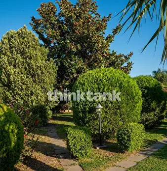 Foto annuncio 30