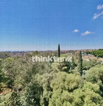 Foto annuncio 14