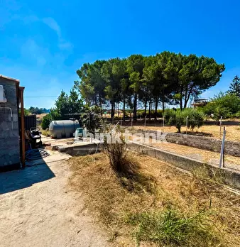 Foto annuncio 16