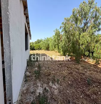 Foto annuncio 19