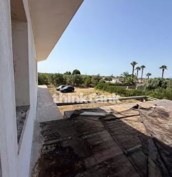 Foto annuncio 31