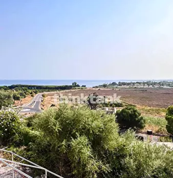 Foto annuncio 78